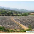 평팔농장 이미지