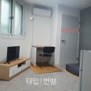 미르텔