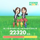 백**수(주) 이미지