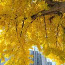 계양테크툴 | 오늘의 뉴스 헤드라인(2020.11.12)::드론택시 7분간 한강 상공 날았다