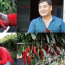 미소드림영농조합법인 이미지