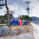 안동농협용상주유소 이미지