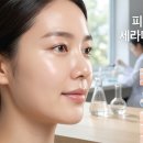 블루토탈케어