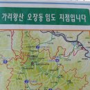 로하스동강