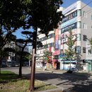 새시온약국 이미지