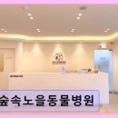 숲속노을 동물병원 네이버블로그