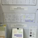 파피어프로스트