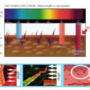 제일메디컬센터 이미지