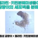 (주)푸르네 이미지