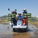 시연의원 이미지