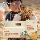 건강의향기 | 물없이 통으로 갈아만든 도라지배즙 후기 살펴보기, 진액으로 만끽하는 건강의 향기