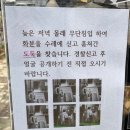 러시아 당구장 이미지