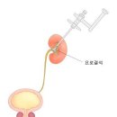 Re:여러분 메츠님이 아파요 !! 이미지