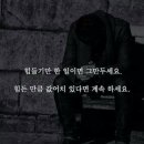 유명갈매기 이미지