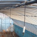 오디하우스 이미지