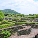 메이즈랜드 이미지