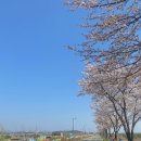 번암리 조천 연꽃공원2 이미지