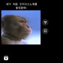 흥도택시 이미지