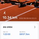 다온이야기