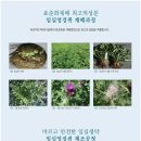 영농법인임실생약 이미지
