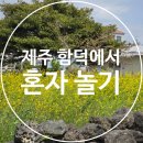 [제주여행] 제주 함덕에서 혼자 놀기 (서우봉, 만춘서점, 조천읍도서관, 함덕 해수욕장, 반디파스타)
