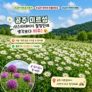 상주역 자전거 공영주차장 | 공주 미르섬 자전거 타고 샤스타데이지 공주 아이와 가볼만한곳 여행코스