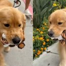 프라브미 이미지