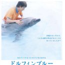 돌핀블루 이미지