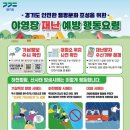 야영 이미지