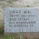 거창박물관 이미지