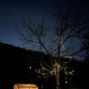 강씨네구이 | 캠핑장작추천 강씨네장작 참나무 3차건조 10kg 솔직 후기