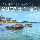 율포무인카페 | 울산 스노쿨링 다이빙 명소 판지항 주차 샤워장 취사 물놀이 수질 후기