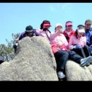 하나프라자약국 이미지