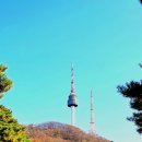 남산 Daum카페