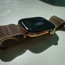 애플워치 시리즈 10 골드 티타늄 케이스 42mm, 골드 밀레니즈 루프 구매 후기