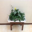 예쁜 얼굴 만들기 이미지