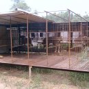 경인농장 이미지