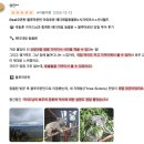 아이스테이주식회사 | 시드니 블루마운틴 투어 :: 링컨스락 폐쇄, 대체 명소, 페더데일 동물원 쿼카, 오픈런