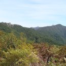 대구 손총무의 시각에서 바라본 팔공산 합동산행 1. 한티재~서봉 이미지