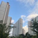 청라바른약국 | #열다섯 번째 하루에 뷔페 두 탕 뛰어봤습니다