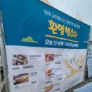 2024 제주 금악 농부장터 후기 및 내돈내산 아니따파스타, 저지떡방앗간, 카페이시도르