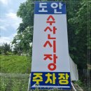 도안수산식당 이미지