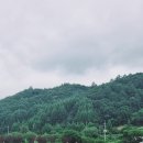 메밀꽃필무렵 브런치