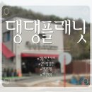 댕댕플래닛 이미지