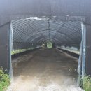 자유농장 이미지