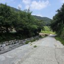 내서읍1251 이미지