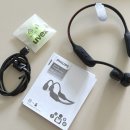 7607 | 골전도이어폰 필립스 TAA7607 무선이어폰추천