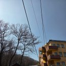 수국사 템플스테이 후기] 은평구 수국사 / 지친 일상에 힐링됐던 템플스테이 솔직 후기 aka. 수국사...