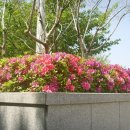 청소년회관 북구어린이도서관 이미지