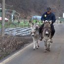 후계자농장 이미지